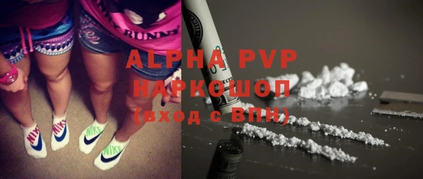 молекула духа Карпинск