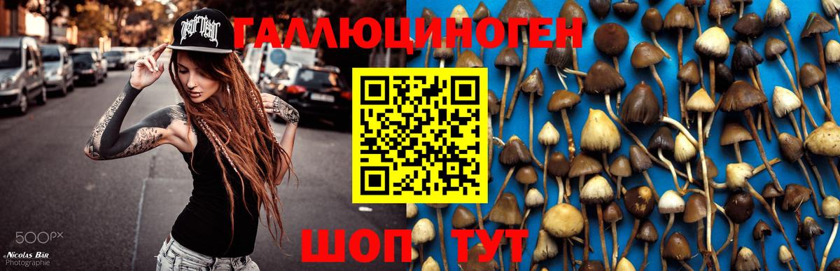 Мефедрон   Лсд 25  Марихуана  Вход с VPN  Кизляр  Гашиш  Экстази  Конопля 